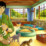 Cotswolds animal shelter appeals for help amid kitten surge - BBC